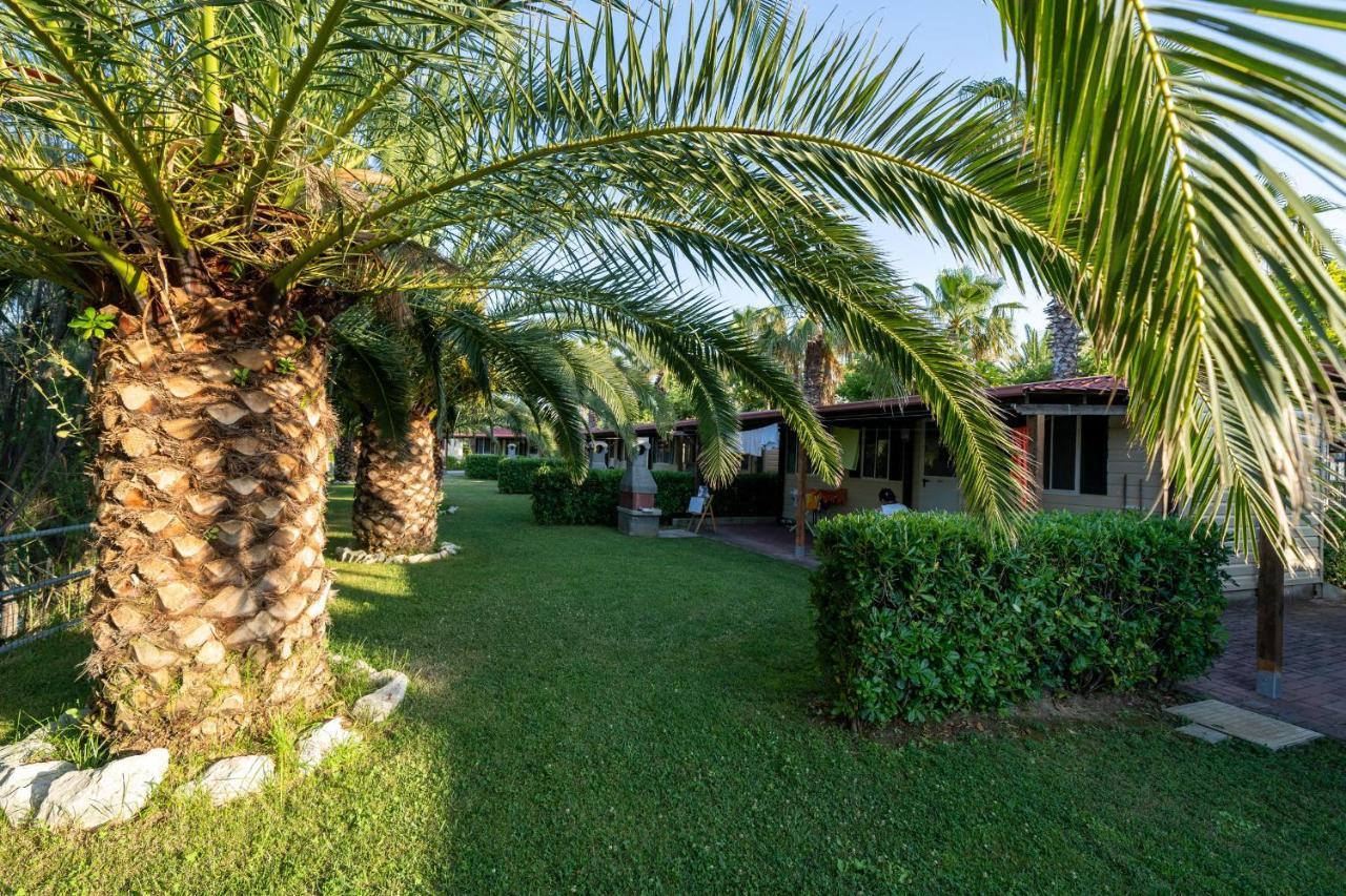 סילבי מרינה Village Lake Placid מראה חיצוני תמונה